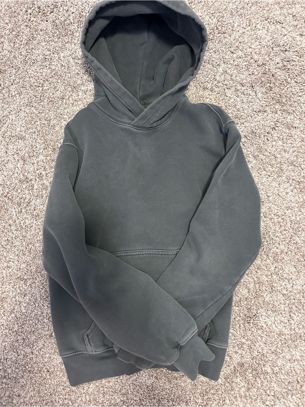 Aritzia Washed Charcoal Hooded Sweatshirt